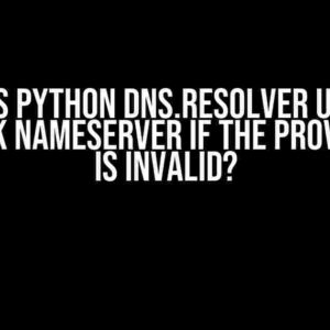 Does Python dns.resolver use a fallback nameserver if the provided one is invalid?